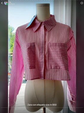 Zara Pink Striped Cropped Button-Up Shirt